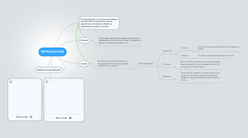 Mind Map: REPRODUCCIÓN