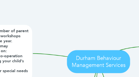 Mind Map: Durham Behaviour Management Services
