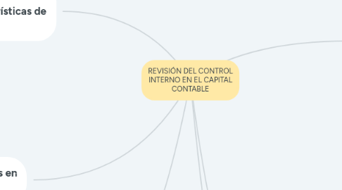 Mind Map: REVISIÓN DEL CONTROL INTERNO EN EL CAPITAL CONTABLE