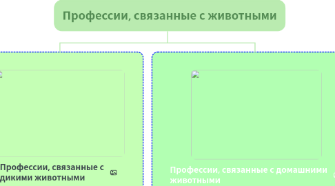 Mind Map: Профессии, связанные с животными