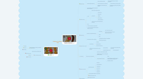 Mind Map: Cambios en la calidad del fruto