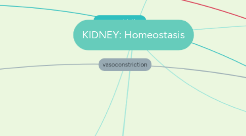 Mind Map: KIDNEY: Homeostasis