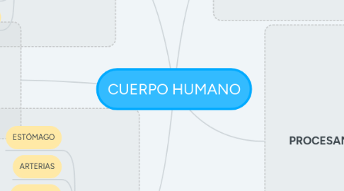 Mind Map: CUERPO HUMANO