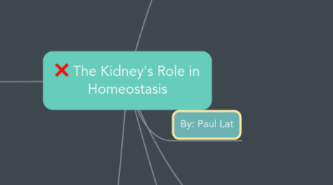 Mind Map: The Kidney's Role in Homeostasis