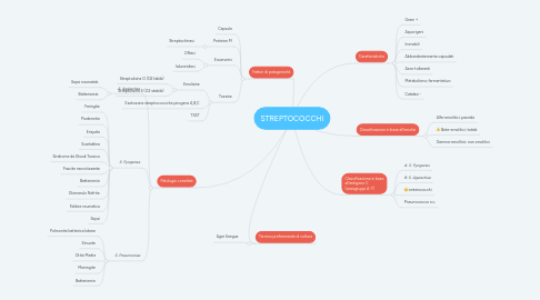 Mind Map: STREPTOCOCCHI