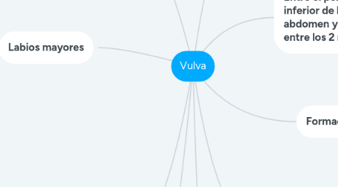 Mind Map: Vulva