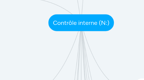 Mind Map: Contrôle interne (N:)