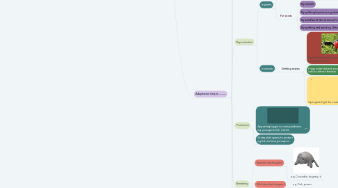 Mind Map: ADAPTATIONS