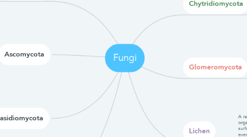 Mind Map: Fungi