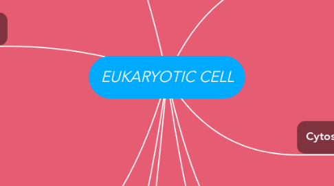 Mind Map: EUKARYOTIC CELL