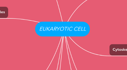 Mind Map: EUKARYOTIC CELL