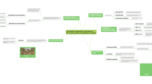 Mind Map: El ecosistema: componentes e interrelaciones: En el tiempo, sucesión, autorregulación y regresión
