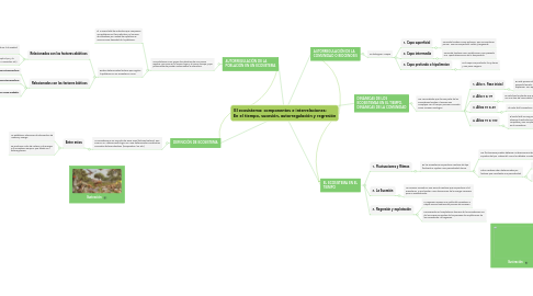 Mind Map: El ecosistema: componentes e interrelaciones:        En el tiempo, sucesión, autorregulación y regresión