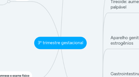 Mind Map: 3º trimestre gestacional