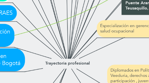 Mind Map: Trayectoria profesional