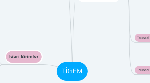 Mind Map: TİGEM