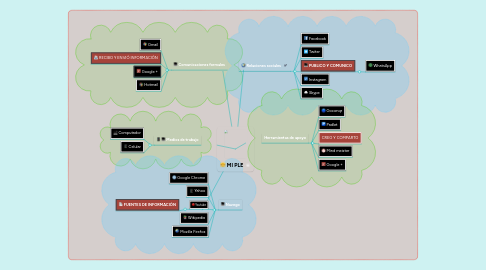 Mind Map: MI PLE