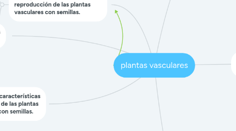 Mind Map: plantas vasculares