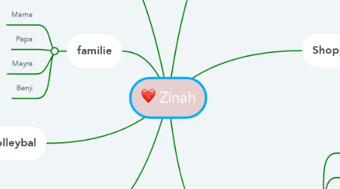 Mind Map: Zinah