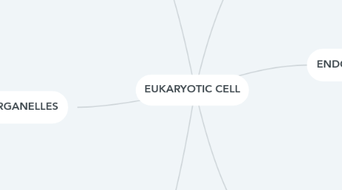 Mind Map: EUKARYOTIC CELL