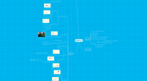 Mind Map: Hjertehus