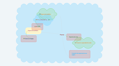 Mind Map: Fauna