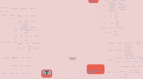 Mind Map: Psicología del consumidor.