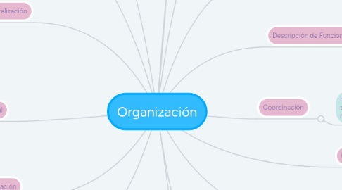 Mind Map: Organización