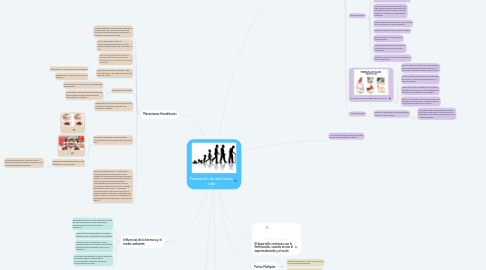 Mind Map: Formación de una nueva vida