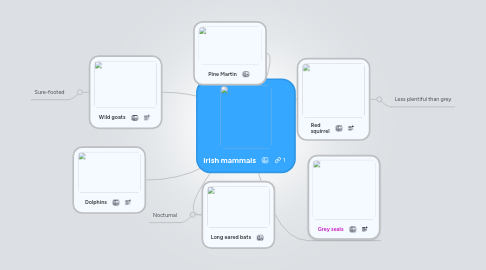 Mind Map: Irish mammals