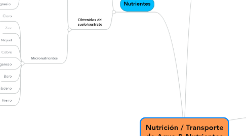 Mind Map: Nutrición / Transporte de Agua & Nutrientes