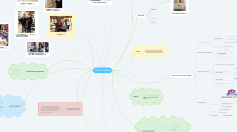 Mind Map: SAGA FALABELLA