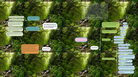 Mind Map: ECOSISTEMA