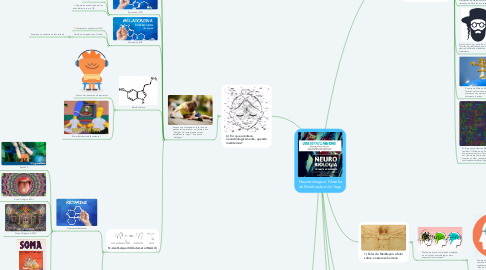 Mind Map: Neurobiologia e Filosofia da Meditação e do Yoga