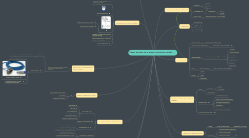 Mind Map: Pasos iniciales de la atención al recién nacido