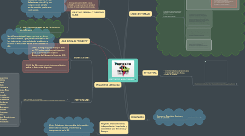 Mind Map: PROYECTO ALFA TUNING