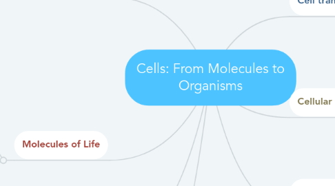 Mind Map: Cells: From Molecules to Organisms