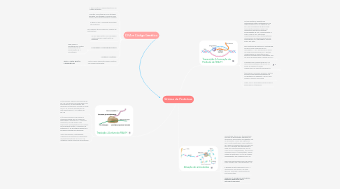 Mind Map: Síntese de Proteínas