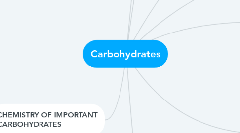 Mind Map: Carbohydrates