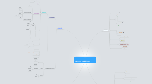 Mind Map: LICENCIATURA EN ARTES VISUALES