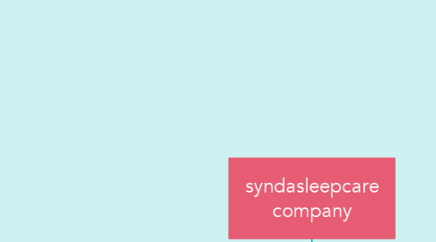 Mind Map: syndasleepcare company