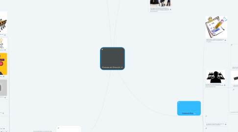 Mind Map: Posturas de Dirección