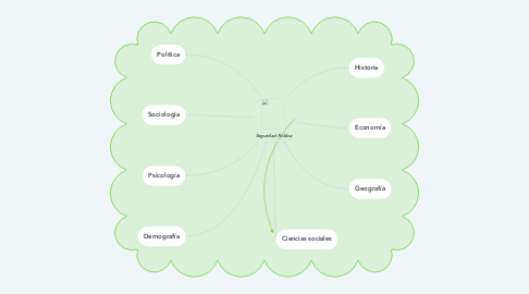 Mind Map: Seguridad Pública