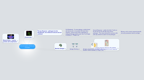 Mind Map: Immune Systems Terms and Concepts