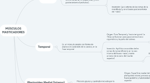 Mind Map: MÚSCULOS MASTICADORES