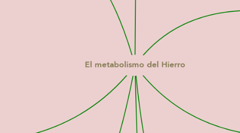 Mind Map: El metabolismo del Hierro