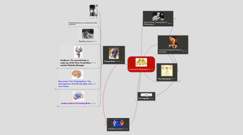 Mind Map: Emotional Awareness