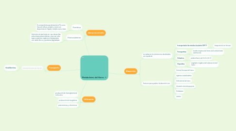 Mind Map: Metabolismo del Hierro