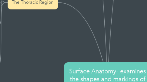 Mind Map: Surface Anatomy- examines the shapes and markings of the surface of the body.