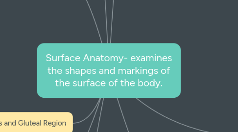 Mind Map: Surface Anatomy- examines the shapes and markings of the surface of the body.